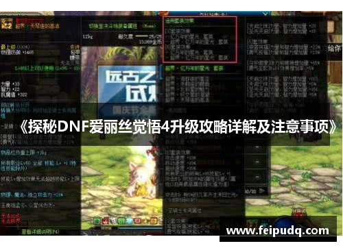 《探秘DNF爱丽丝觉悟4升级攻略详解及注意事项》